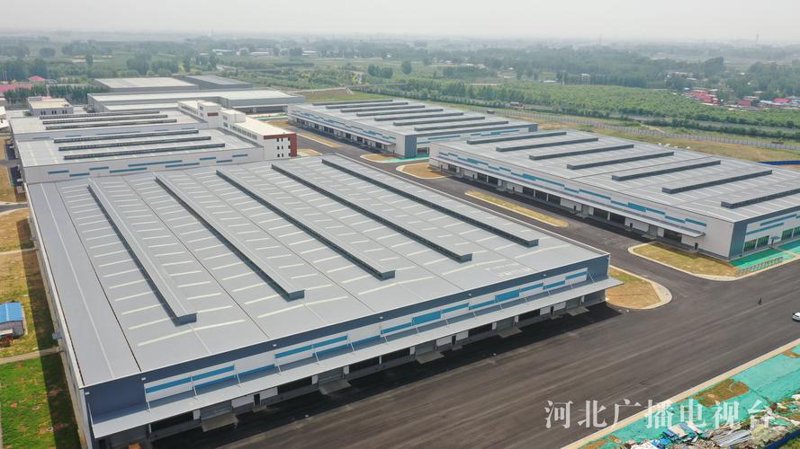 保定网站建设